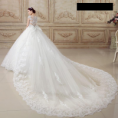 Illusion Back Short Sleeve Ball Gown Cathedral Wedding Dress